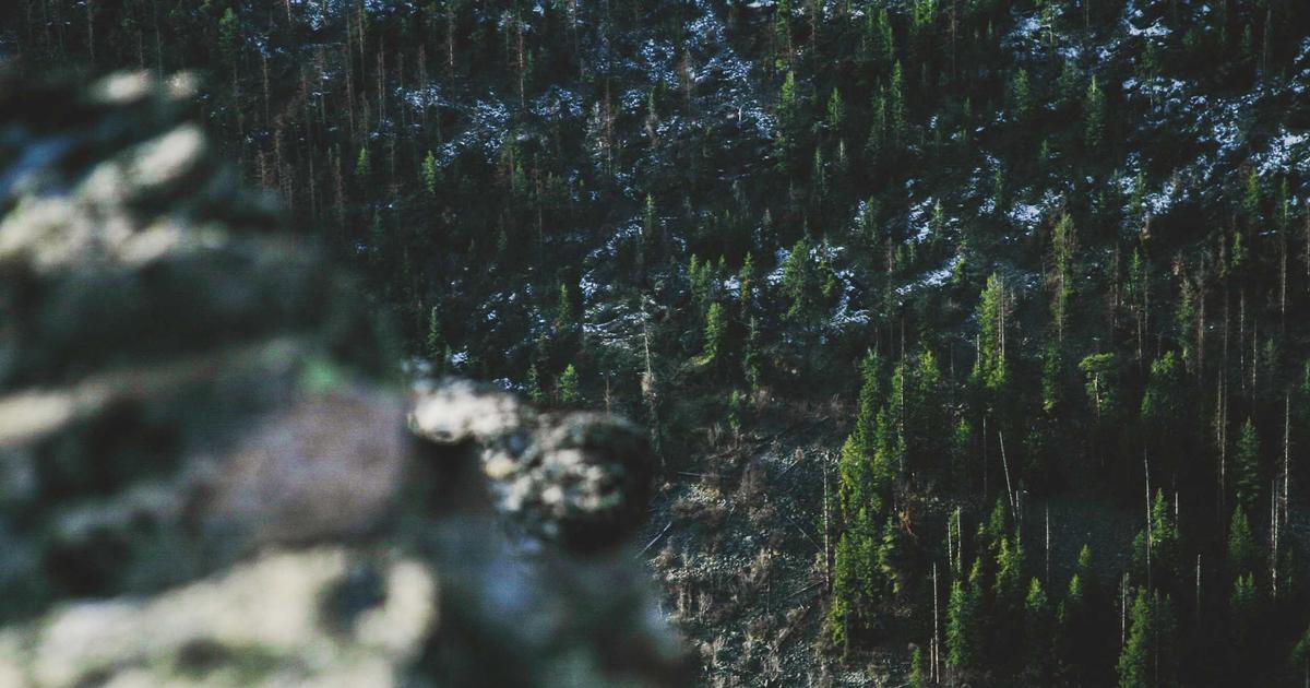 Project Glasswing Shows Where AI Actually Matters