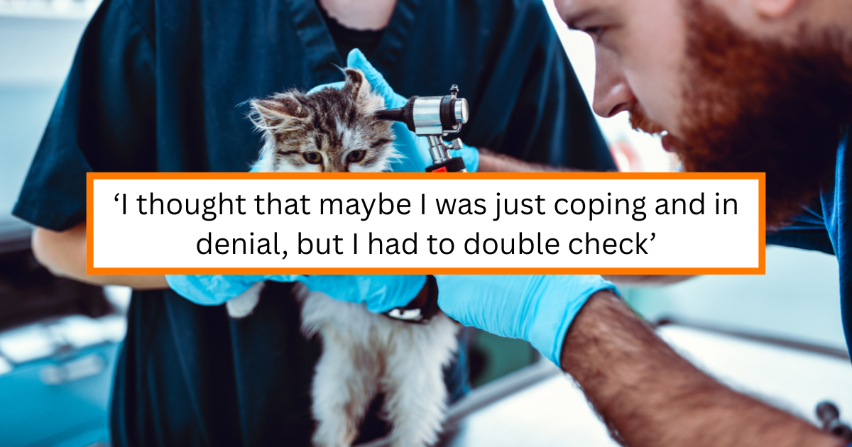 A vet told her to euthanize her cat. ChatGPT said the numbers were impossible.